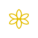 mseed